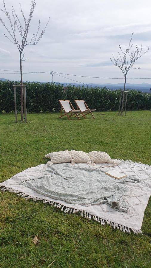 Vineyard Cottage Lan Na Hribu セミチ エクステリア 写真
