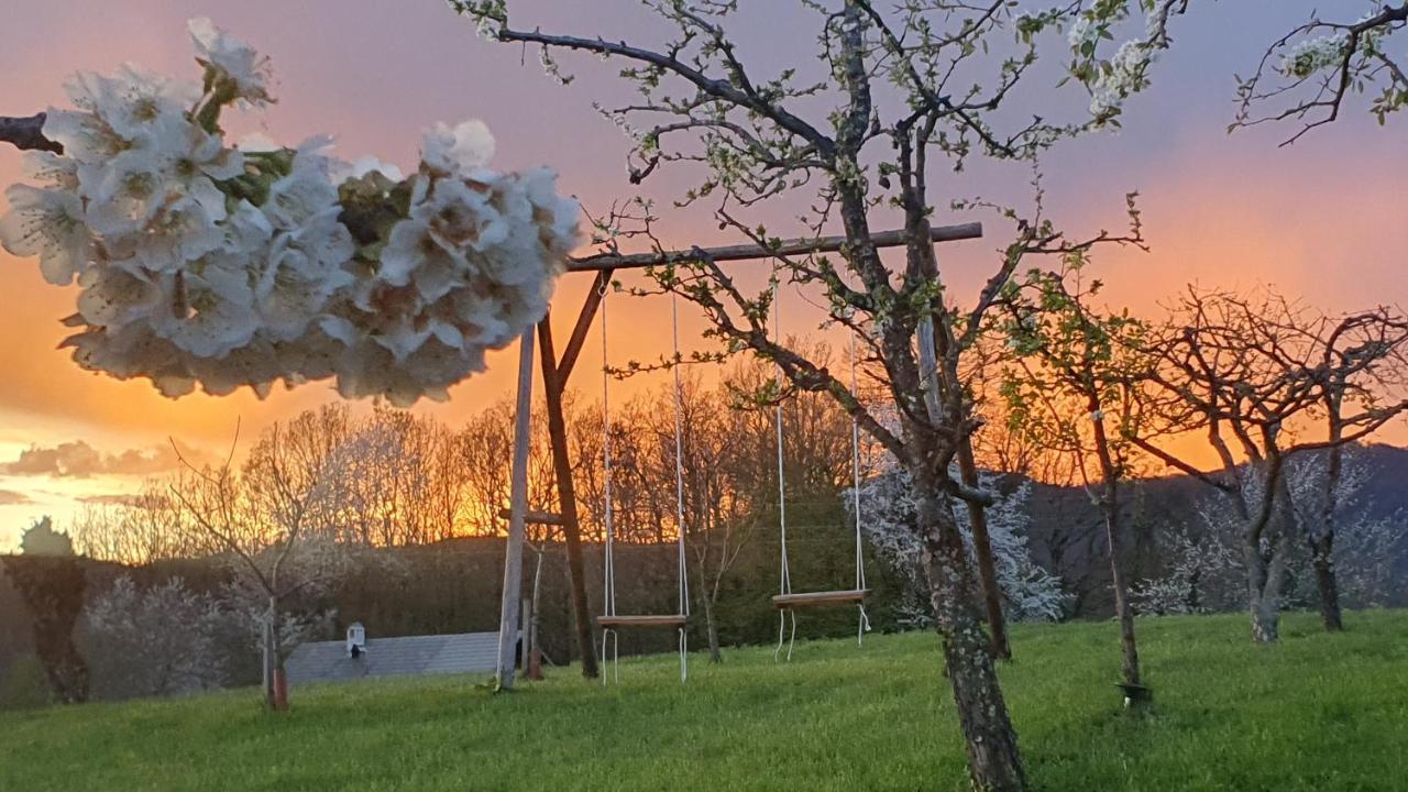 Vineyard Cottage Lan Na Hribu セミチ エクステリア 写真