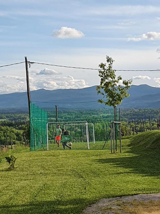 Vineyard Cottage Lan Na Hribu セミチ エクステリア 写真